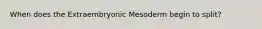 When does the Extraembryonic Mesoderm begin to split?