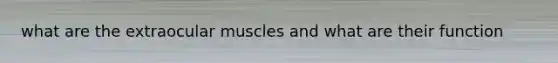 what are the extraocular muscles and what are their function