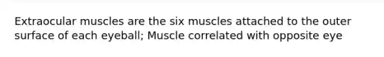 Extraocular muscles are the six muscles attached to the outer surface of each eyeball; Muscle correlated with opposite eye