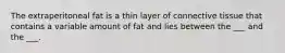 The extraperitoneal fat is a thin layer of connective tissue that contains a variable amount of fat and lies between the ___ and the ___.