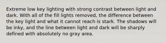 Extreme low key lighting with strong contrast between light and dark. With all of the fill lights removed, the difference between the key light and what it cannot reach is stark. The shadows will be inky, and the line between light and dark will be sharply defined with absolutely no gray area.