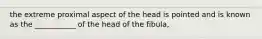 the extreme proximal aspect of the head is pointed and is known as the ___________ of the head of the fibula,