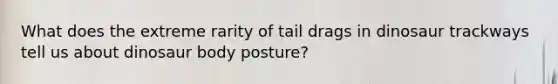 What does the extreme rarity of tail drags in dinosaur trackways tell us about dinosaur body posture?