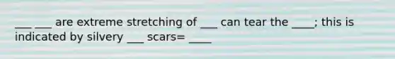 ___ ___ are extreme stretching of ___ can tear the ____; this is indicated by silvery ___ scars= ____