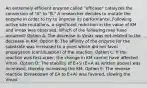 An extremely efficient enzyme called "efficase" catalyzes the conversion of "A" to "B." A researcher decides to mutate the enzyme in order to try to improve its performance. Following active site mutations, a significant reduction in the value of KM and Vmax was observed. Which of the following may have occurred? Option A: The decrease in Vmax was not related to the decrease in KM. Option B: The affinity of the enzyme for the substrate was increased to a point which did not favor propagation (continuation) of the reaction. Option C: If the reaction was first-order, the change in KM cannot have affected Vmax. Option D: The stability of E+S (E+A as written above) was increased, thereby increasing the KM. Option E: The reverse reaction (breakdown of EA to E+A) was favored, slowing the Vmax.