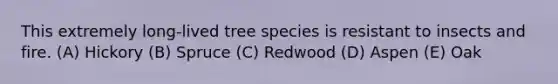 This extremely long-lived tree species is resistant to insects and fire. (A) Hickory (B) Spruce (C) Redwood (D) Aspen (E) Oak