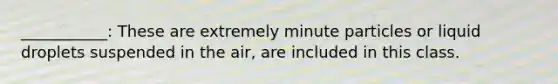 ___________: These are extremely minute particles or liquid droplets suspended in the air, are included in this class.