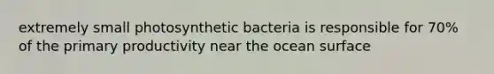 extremely small photosynthetic bacteria is responsible for 70% of the primary productivity near the ocean surface