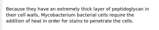 Because they have an extremely thick layer of peptidoglycan in their cell walls, Mycobacterium bacterial cells require the addition of heat in order for stains to penetrate the cells.