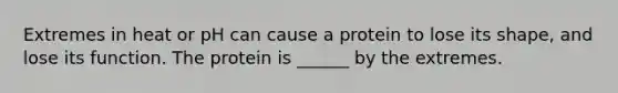Extremes in heat or pH can cause a protein to lose its shape, and lose its function. The protein is ______ by the extremes.