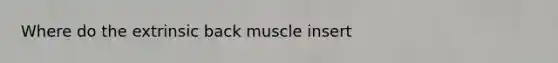 Where do the extrinsic back muscle insert