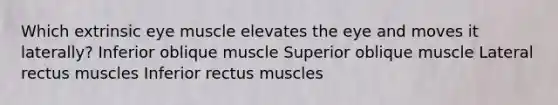 Which extrinsic eye muscle elevates the eye and moves it laterally? Inferior oblique muscle Superior oblique muscle Lateral rectus muscles Inferior rectus muscles