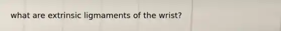 what are extrinsic ligmaments of the wrist?