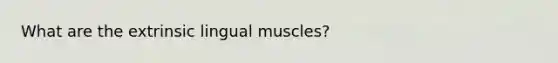 What are the extrinsic lingual muscles?