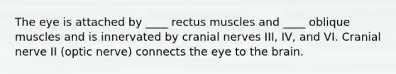 The eye is attached by ____ rectus muscles and ____ oblique muscles and is innervated by cranial nerves III, IV, and VI. Cranial nerve II (optic nerve) connects the eye to the brain.