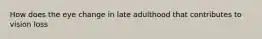 How does the eye change in late adulthood that contributes to vision loss