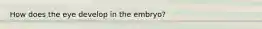 How does the eye develop in the embryo?