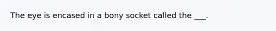 The eye is encased in a bony socket called the ___.