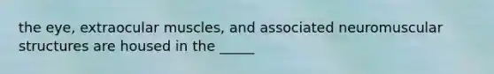 the eye, extraocular muscles, and associated neuromuscular structures are housed in the _____