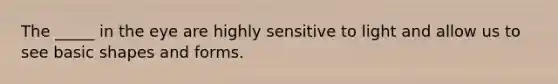 The _____ in the eye are highly sensitive to light and allow us to see basic shapes and forms.