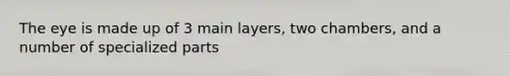 The eye is made up of 3 main layers, two chambers, and a number of specialized parts