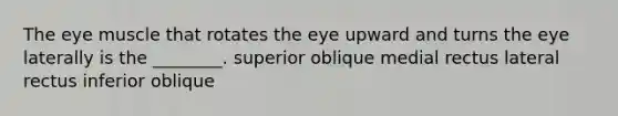 The eye muscle that rotates the eye upward and turns the eye laterally is the ________. superior oblique medial rectus lateral rectus inferior oblique