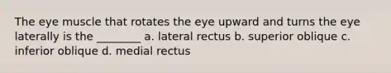 The eye muscle that rotates the eye upward and turns the eye laterally is the ________ a. lateral rectus b. superior oblique c. inferior oblique d. medial rectus