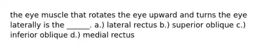 the eye muscle that rotates the eye upward and turns the eye laterally is the ______. a.) lateral rectus b.) superior oblique c.) inferior oblique d.) medial rectus