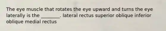 The eye muscle that rotates the eye upward and turns the eye laterally is the ________. lateral rectus superior oblique inferior oblique medial rectus