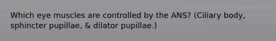 Which eye muscles are controlled by the ANS? (Ciliary body, sphincter pupillae, & dilator pupillae.)