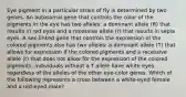 Eye pigment in a particular strain of fly is determined by two genes. An autosomal gene that controls the color of the pigments in the eye has two alleles: a dominant allele (R) that results in red eyes and a recessive allele (r) that results in sepia eyes. A sex-linked gene that controls the expression of the colored pigments also has two alleles: a dominant allele (T) that allows for expression if the colored pigments and a recessive allele (t) that does not allow for the expression of the colored pigments. Individuals without a T allele have white eyes regardless of the alleles of the other eye-color genes. Which of the following represents a cross between a white-eyed female and a red-eyed male?