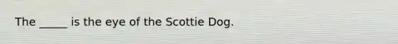 The _____ is the eye of the Scottie Dog.