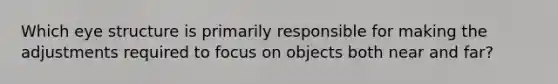 Which eye structure is primarily responsible for making the adjustments required to focus on objects both near and far?