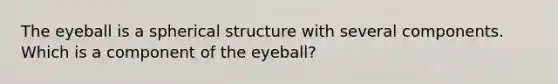 The eyeball is a spherical structure with several components. Which is a component of the eyeball?