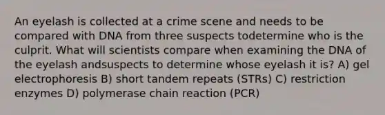 An eyelash is collected at a crime scene and needs to be compared with DNA from three suspects todetermine who is the culprit. What will scientists compare when examining the DNA of the eyelash andsuspects to determine whose eyelash it is? A) gel electrophoresis B) short tandem repeats (STRs) C) restriction enzymes D) polymerase chain reaction (PCR)