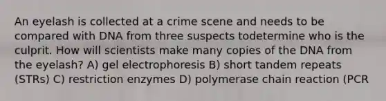 An eyelash is collected at a crime scene and needs to be compared with DNA from three suspects todetermine who is the culprit. How will scientists make many copies of the DNA from the eyelash? A) gel electrophoresis B) short tandem repeats (STRs) C) restriction enzymes D) polymerase chain reaction (PCR