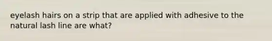 eyelash hairs on a strip that are applied with adhesive to the natural lash line are what?