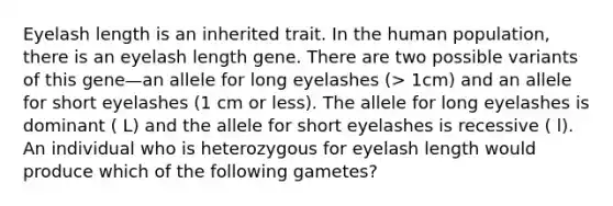 Eyelash length is an inherited trait. In the human population, there is an eyelash length gene. There are two possible variants of this gene—an allele for long eyelashes (> 1cm) and an allele for short eyelashes (1 cm or less). The allele for long eyelashes is dominant ( L) and the allele for short eyelashes is recessive ( l). An individual who is heterozygous for eyelash length would produce which of the following gametes?