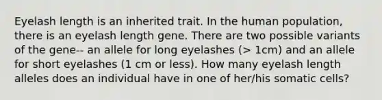 Eyelash length is an inherited trait. In the human population, there is an eyelash length gene. There are two possible variants of the gene-- an allele for long eyelashes (> 1cm) and an allele for short eyelashes (1 cm or less). How many eyelash length alleles does an individual have in one of her/his somatic cells?