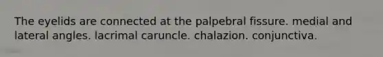 The eyelids are connected at the palpebral fissure. medial and lateral angles. lacrimal caruncle. chalazion. conjunctiva.
