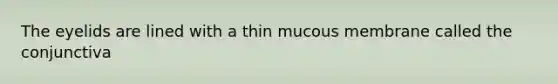 The eyelids are lined with a thin mucous membrane called the conjunctiva