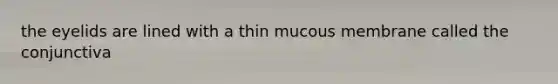 the eyelids are lined with a thin mucous membrane called the conjunctiva