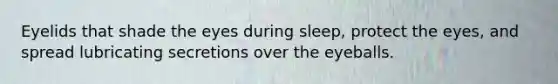 Eyelids that shade the eyes during sleep, protect the eyes, and spread lubricating secretions over the eyeballs.