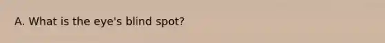 A. What is the eye's blind spot?