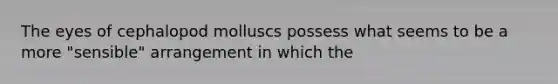 The eyes of cephalopod molluscs possess what seems to be a more "sensible" arrangement in which the