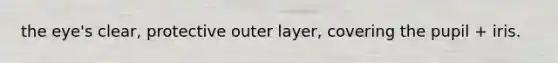 the eye's clear, protective outer layer, covering the pupil + iris.
