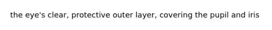 the eye's clear, protective outer layer, covering the pupil and iris