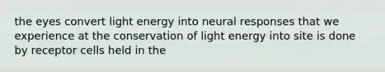 the eyes convert light energy into neural responses that we experience at the conservation of light energy into site is done by receptor cells held in the