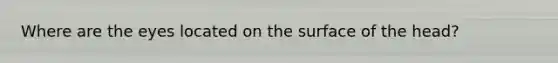 Where are the eyes located on the surface of the head?