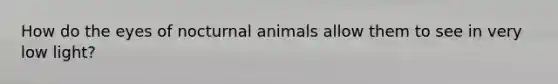 How do the eyes of nocturnal animals allow them to see in very low light?